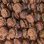 SCALVINIFOTO4